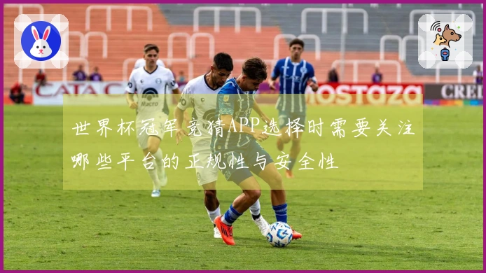 世界杯冠军竞猜APP选择时需要关注哪些平台的正规性与安全性