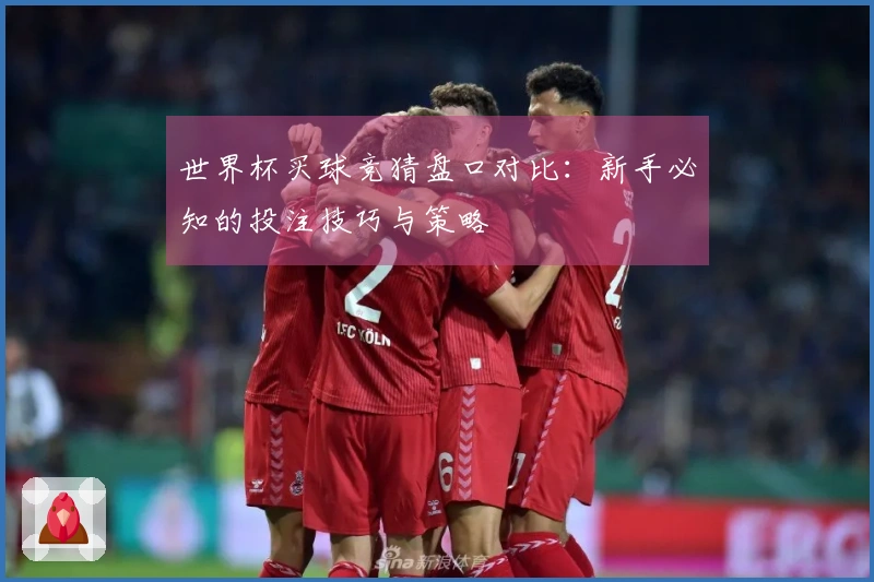 世界杯买球竞猜盘口对比：新手必知的投注技巧与策略