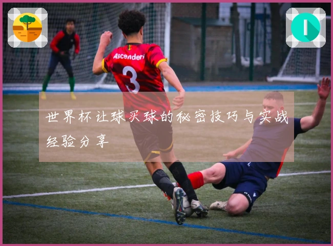 世界杯让球买球的秘密技巧与实战经验分享