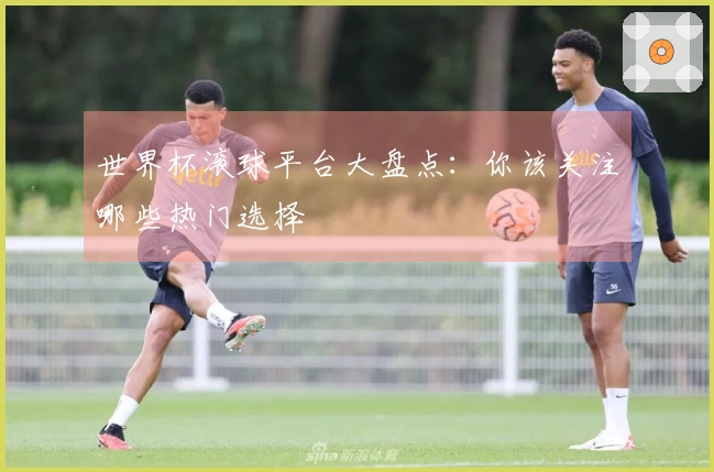 世界杯滚球平台大盘点：你该关注哪些热门选择