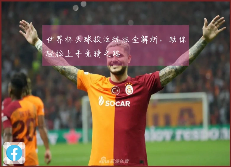世界杯买球投注玩法全解析，助你轻松上手竞猜之路