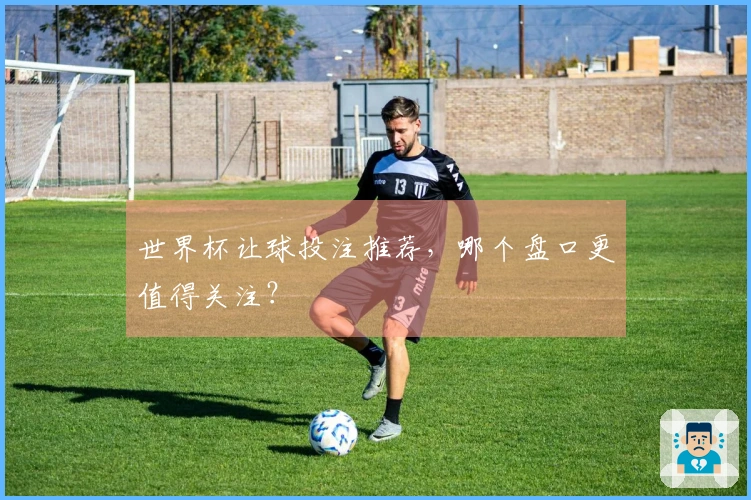 世界杯让球投注推荐，哪个盘口更值得关注？