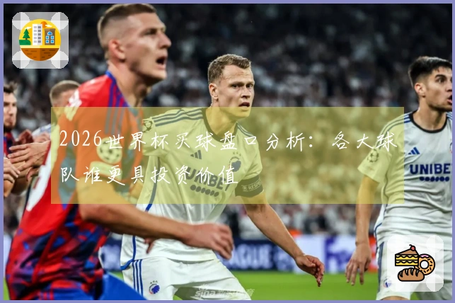 2026世界杯买球盘口分析：各大球队谁更具投资价值