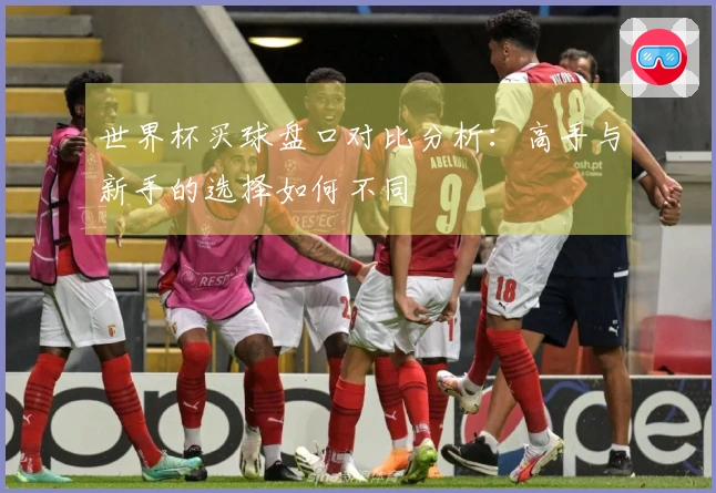 世界杯买球盘口对比分析：高手与新手的选择如何不同