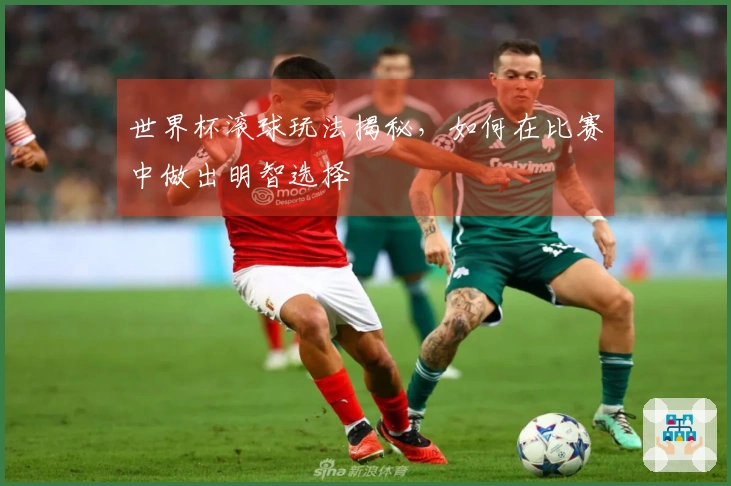 世界杯滚球玩法揭秘，如何在比赛中做出明智选择