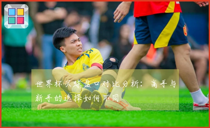 世界杯买球盘口对比分析：高手与新手的选择如何不同