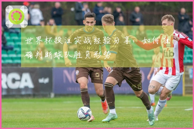 世界杯投注实战经验分享，如何准确判断球队胜负形势