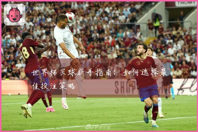 世界杯买球新手指南：如何选择最佳投注策略