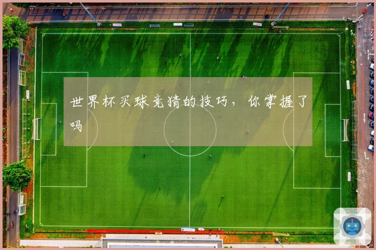 世界杯买球竞猜的技巧，你掌握了吗