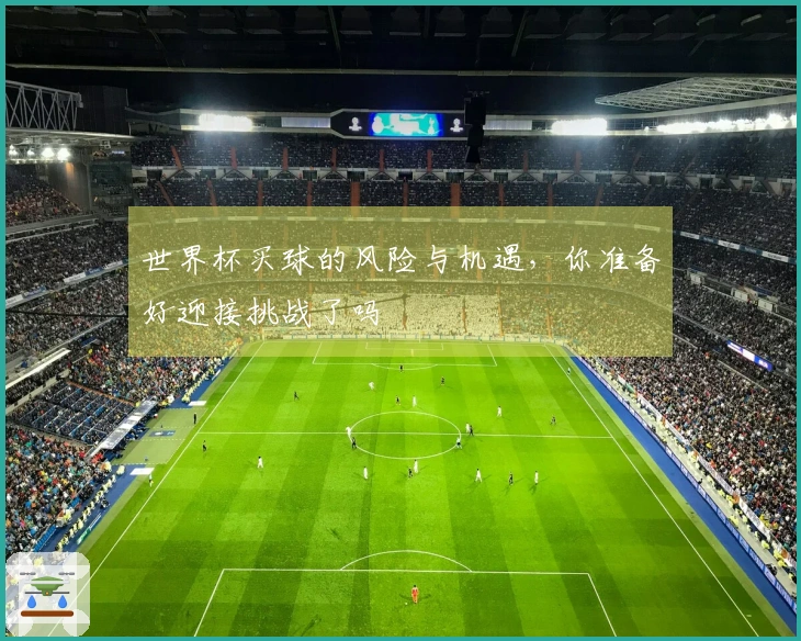 世界杯买球的风险与机遇，你准备好迎接挑战了吗