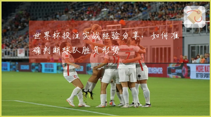 世界杯投注实战经验分享，如何准确判断球队胜负形势