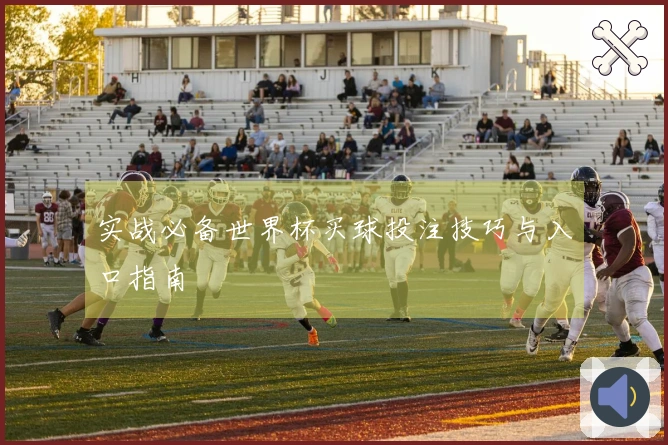 实战必备世界杯买球投注技巧与入口指南