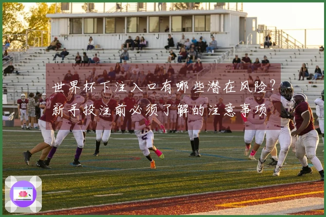 世界杯下注入口有哪些潜在风险？新手投注前必须了解的注意事项