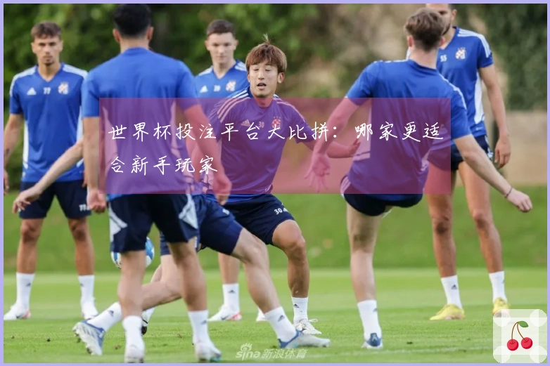 世界杯投注平台大比拼：哪家更适合新手玩家