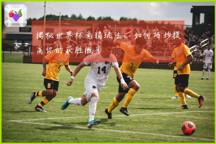 揭秘世界杯竞猜玩法，如何巧妙提高你的获胜概率