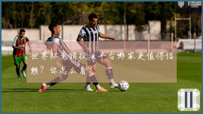 世界杯竞猜投注平台哪家更值得信赖？你怎么看？