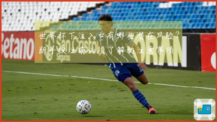 世界杯下注入口有哪些潜在风险？新手投注前必须了解的注意事项